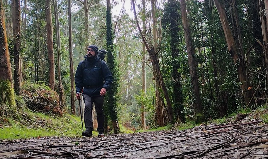 Caminar después de los 40: nunca es tarde para empezar