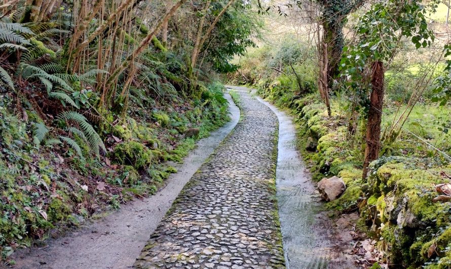 Caminar con menos peso, también fuera del camino