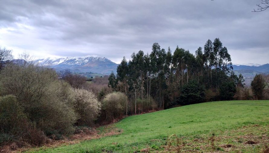 Etapa 1 del Camino Primitivo: Oviedo – Grado (22 km)