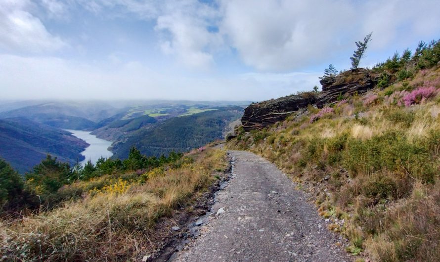 Camino Primitivo: caminando desde el origen