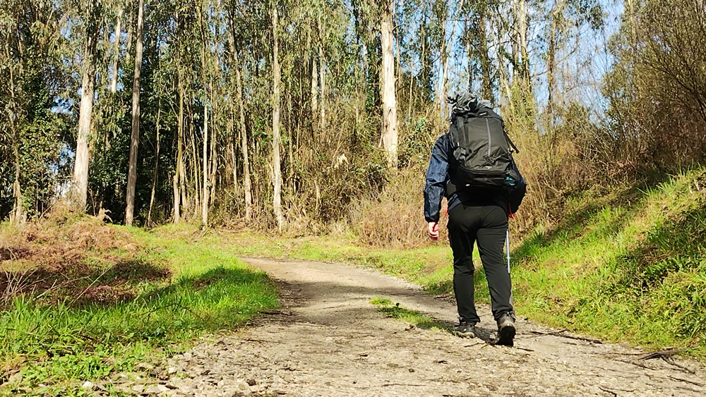 Peregrino caminando en el Camino de Santiago con una mochila de senderismo a la espalda
