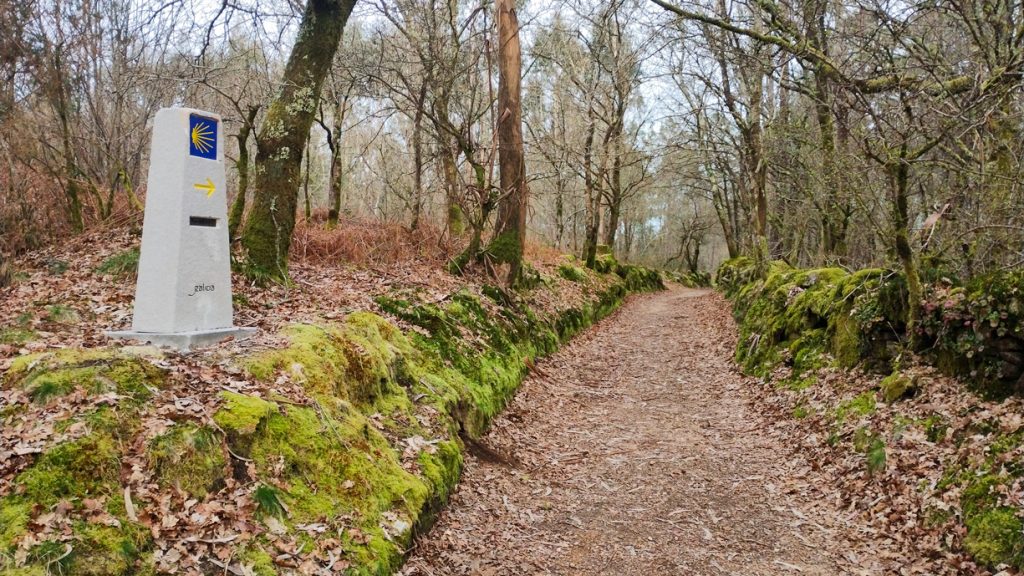 Un mojón con la señal de la vieira en un sendero en el Camino de Santiago