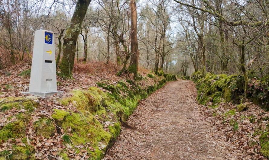 Cómo prepararte para el Camino de Santiago de forma sencilla