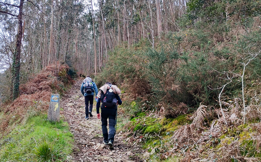 Peregrinos en un sendero del Camino del Norte