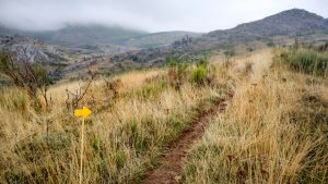 Sendero de montaña en Camino del Salvador con una flecha amarilla que indica la dirección
