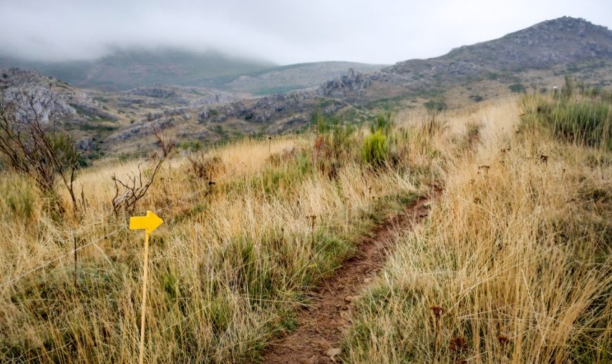 Camino del Salvador: etapas y crónicas con fotos
