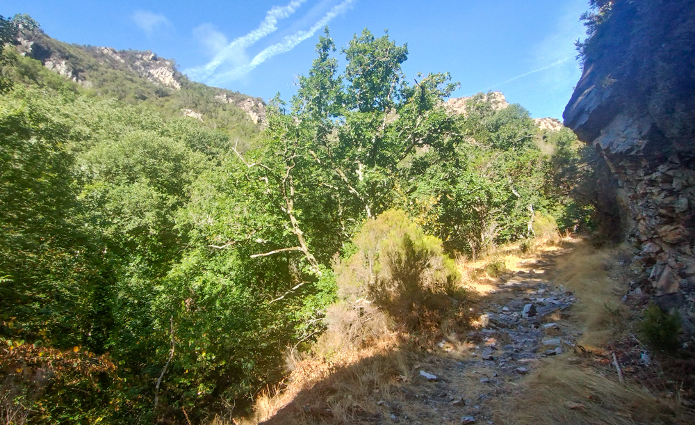 Sendero pedregoso del Camino Medieval a Bandujo
