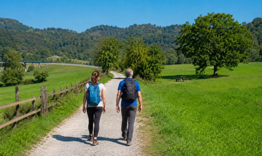 Consejos para disfrutar de una excursión senderista de 1 día