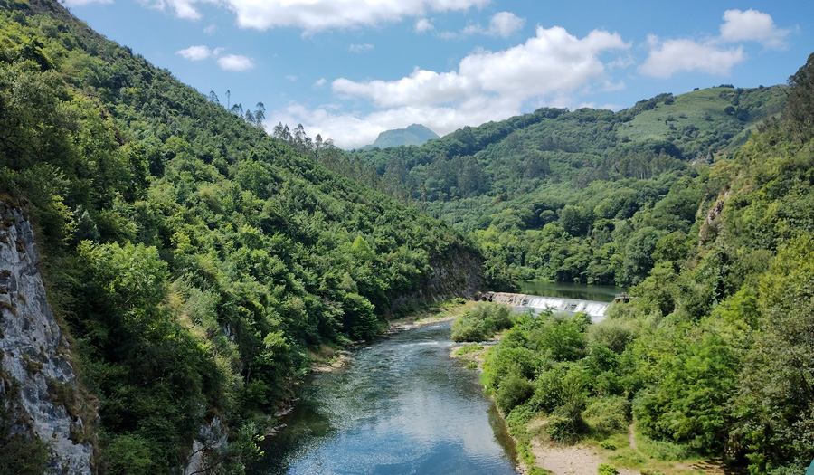 Paisaje amplio con montes árbolados y el río Nalón